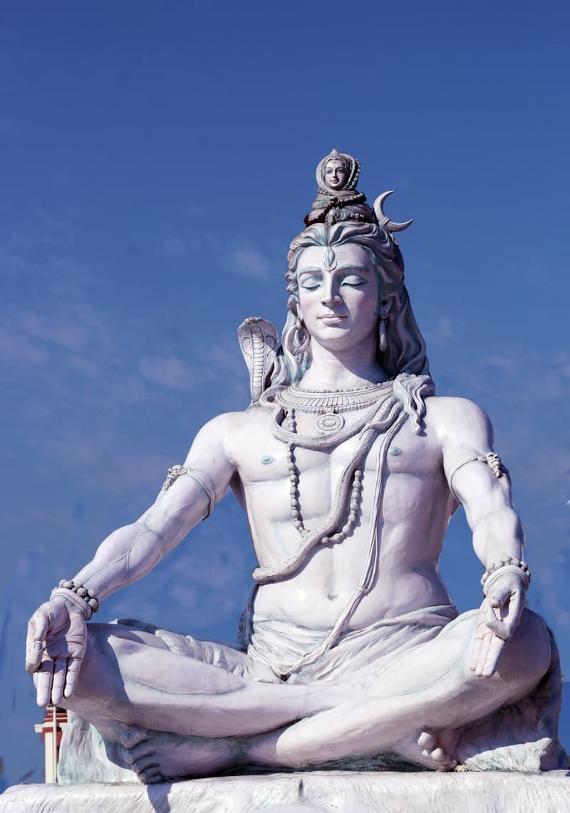 Planetary Peace